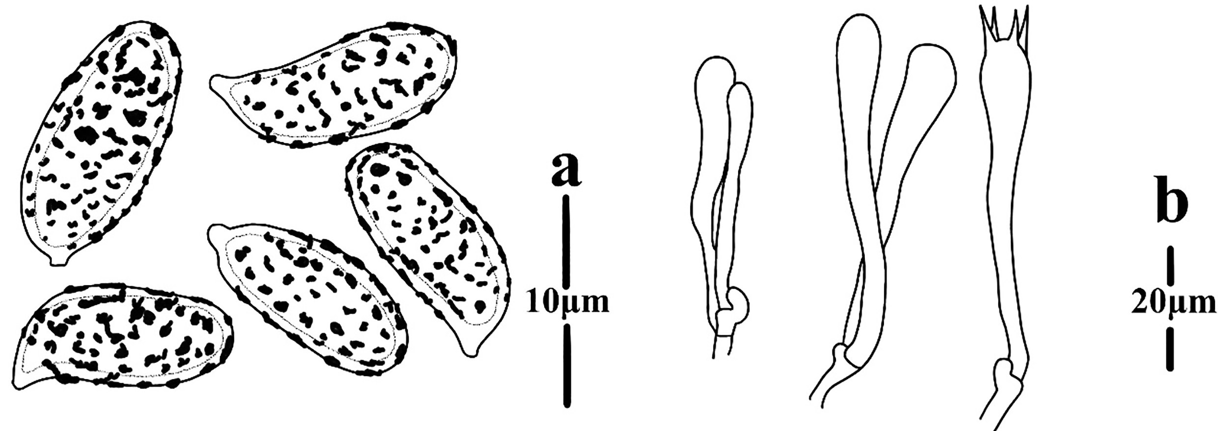 Figure 85